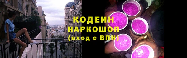 гидра Бронницы