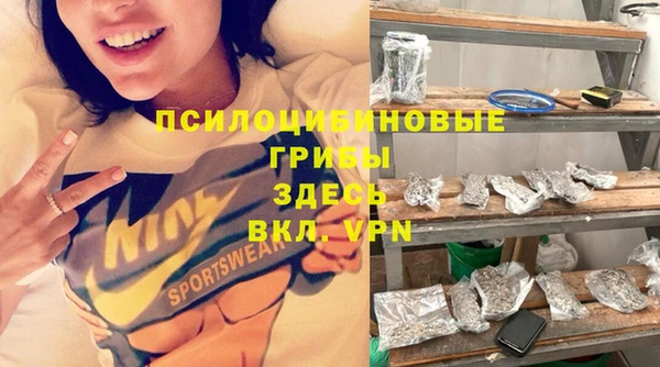 гидра Бронницы