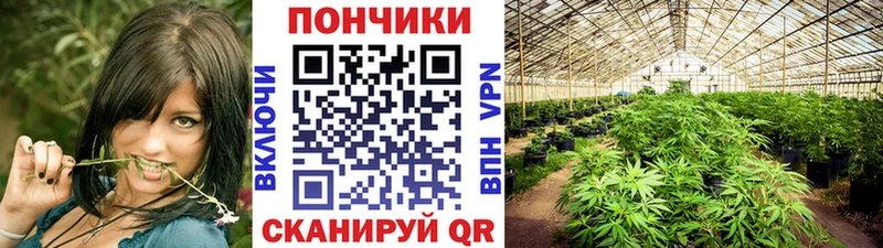 площадка официальный сайт  Новопавловск  Марихуана OG Kush 